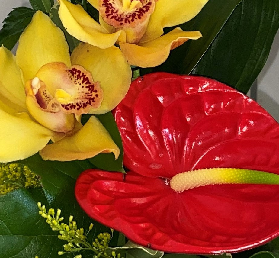 Designer's Choice - Tropical
