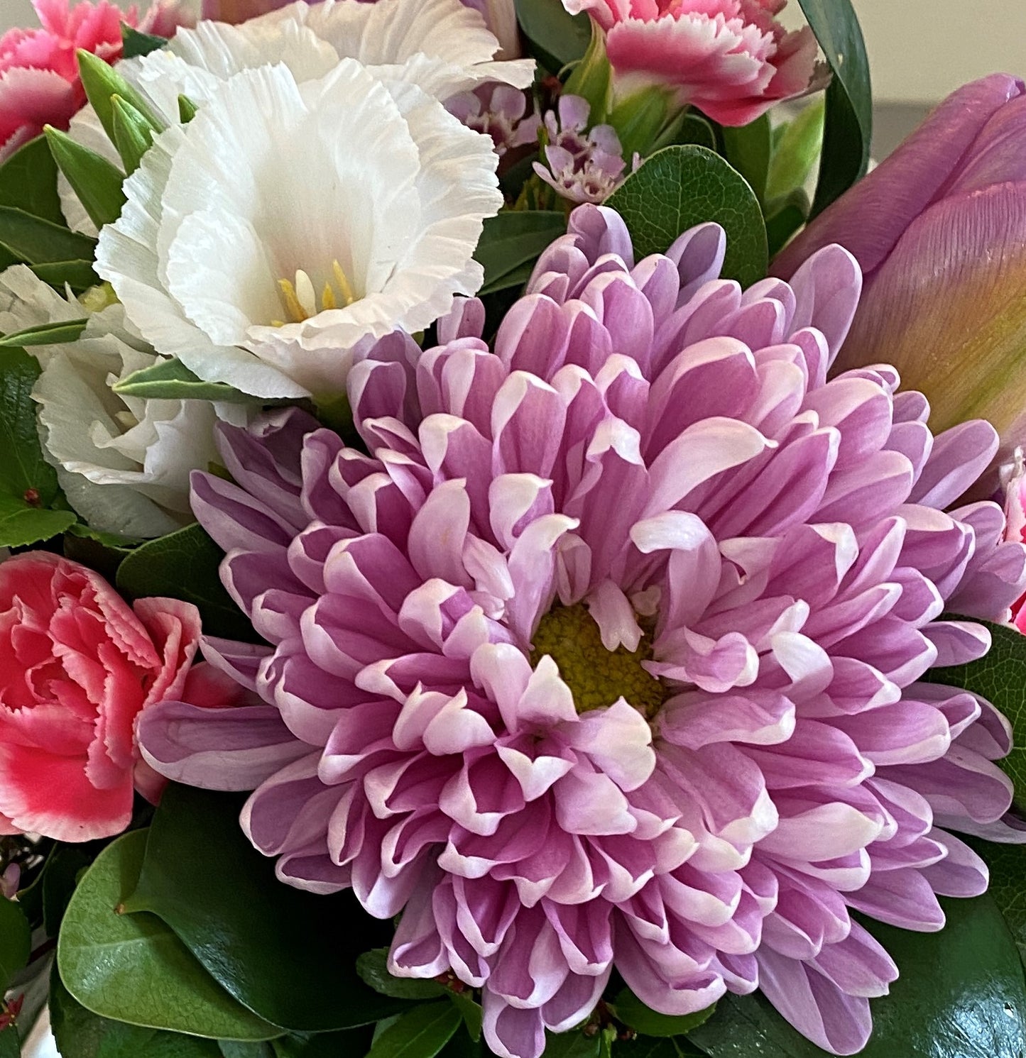 Designer's Choice - Sympathy