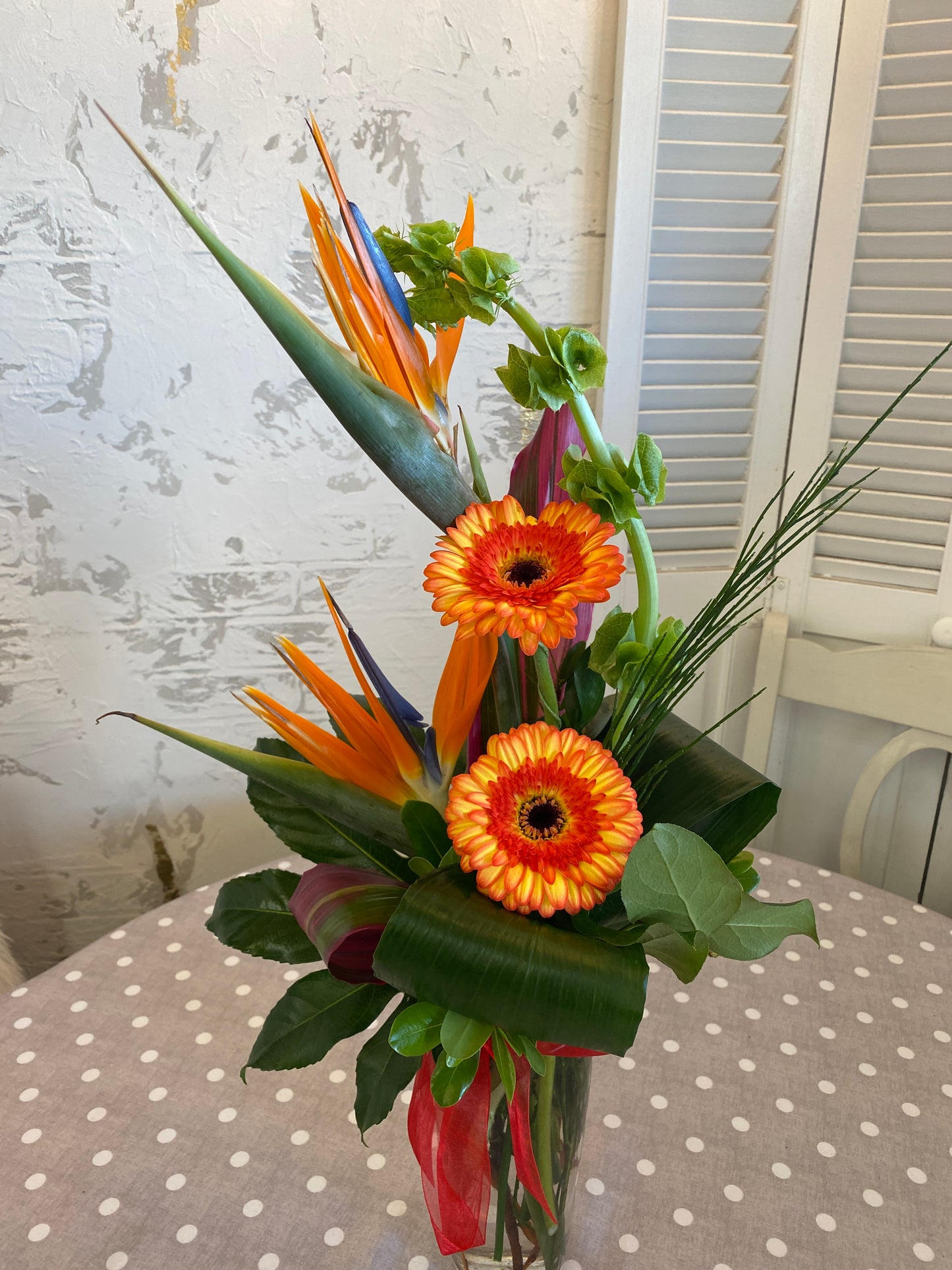 Tropical Daisies