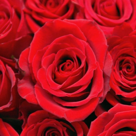 Designer’s Choice - Valentine's Day